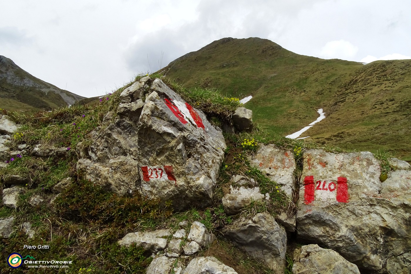 90 Seguiamo il sentiero 237 per Capanna 2000 e Alpe Arera.JPG -                                
